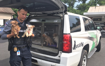 Photo of Loudoun Chief of Animal Control with dogs
