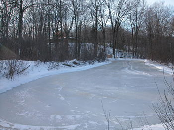 Frozen pond surrounded by trees
