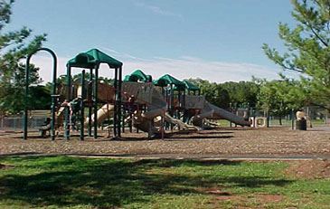 Gwen Thompson Briar Patch Park playground image