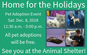 Link to Home for the Holidays information