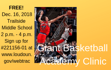 Giant Basketball Academy Clinic flyer image