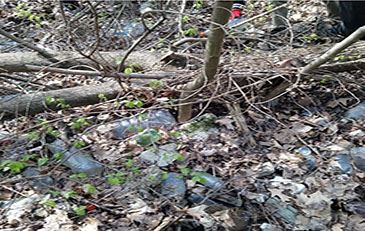 image of trash and debris in woods