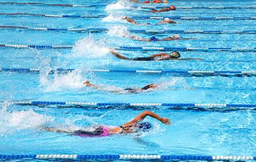 image of swimmers in pool lanes
