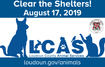 Image of Animal Services Logo with Clear the Shelters event information