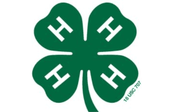 Image of 4-H logo