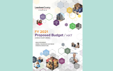 Image of cover of budget Volume 1