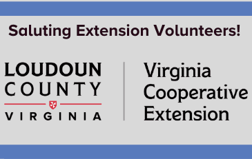 Image of VCE-Loudoun Wordmark with Salute to Volunteers