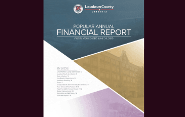 Image of cover of Popular Annual Financial Report