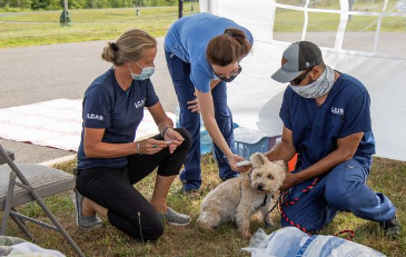 Image of dog and staff at July 2020 Loudoun County rabies vaccination clinic