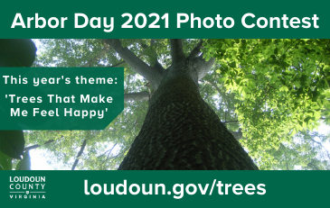 Link to information about Arbor Day Photo Contest 2021