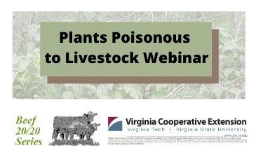 Poisonous Plants to Livestock