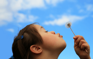 Girl blowing on a dandelion on a sunny day