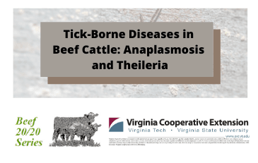 Tick-Borne Diseases Title Page
