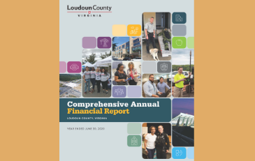 Link to information about the Comprehensive Annual Financial Report