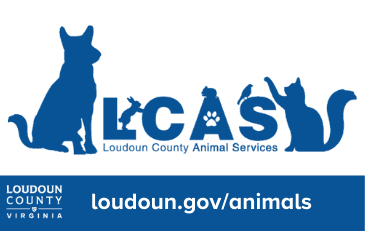 Link to information about Loudoun County Animal Services
