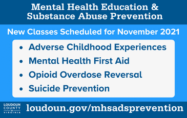 Link to information about Loudoun County's prevention and intervention services 