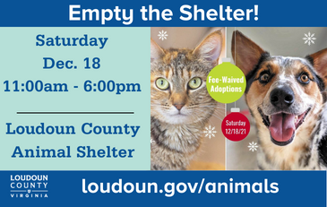 Link to information about pet adoption event