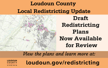 Link to information about the local redistricting process