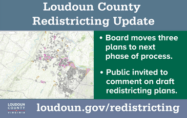 Link to information about local redistricting