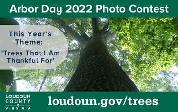 Link to information about the 2022 Arbor Day Photo Contest