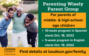 Link to information about the Parenting Wisely program