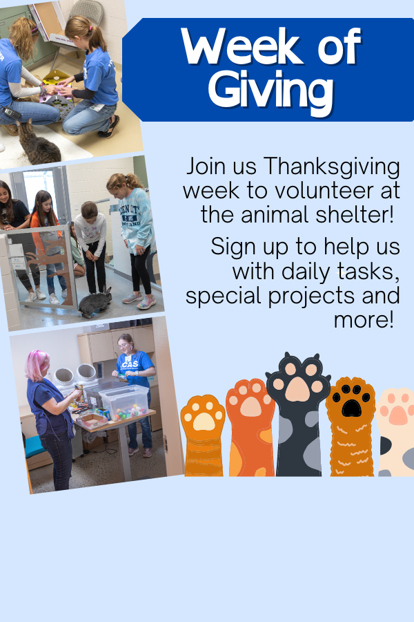 Days of Giving graphic for thanksgiving volunteer week