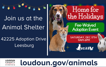 Link to information about Animal Services' Home for the Holidays event
