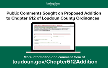 Link to information about proposed addition to Chapter 612 and online comment form