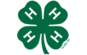 Image of 4-H Logo with link to information about VCE Loudoun