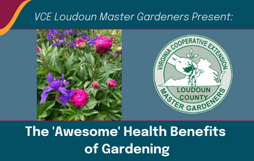 230413 Benefits of Gardening Template