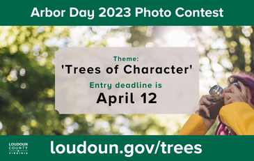Link to information about the 2023 Arbor Day Photo Contest