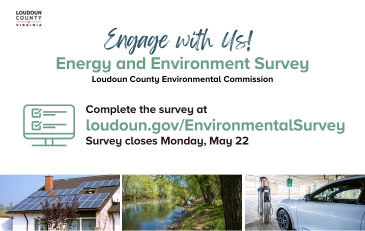 Link to energy and environment survey