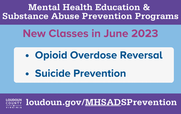 Link to information about mental health and substance abuse training programs
