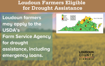 Image of field with text alerting Loudoun farmers that they are eligible for drought assistance