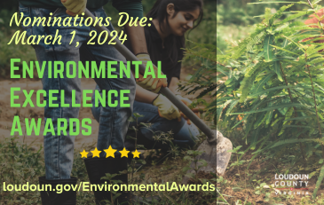 Link to information about the 2024 Environmental Excellence Awards