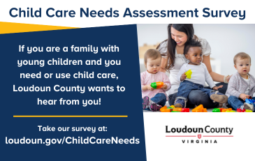 Link to information about a child care needs assessment survey