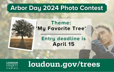 Link to information about the Loudoun County Arbor Day Photo Contest